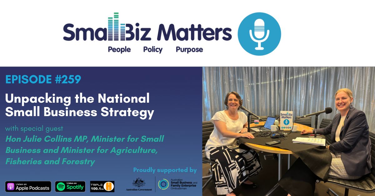 EP#259 ~ Unpacking the National Small Business Strategy with the Minister